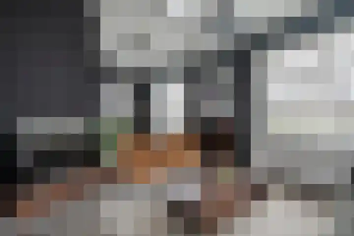 Nieuwe Deventerweg 25 Raalte thumbnail 9