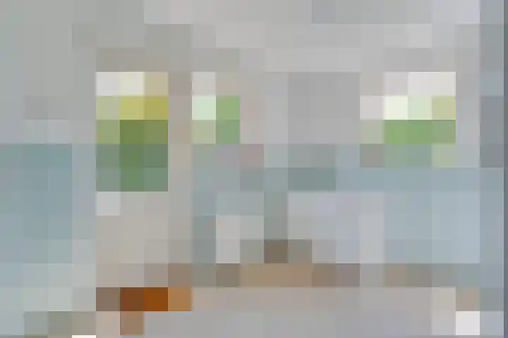Nieuwe Deventerweg 44 Zwolle thumbnail 17