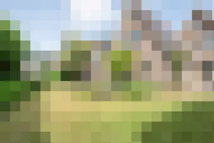 Nieuwe Deventerweg 44 Zwolle thumbnail 33