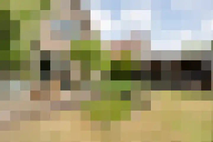 Nieuwe Deventerweg 44 Zwolle thumbnail 34