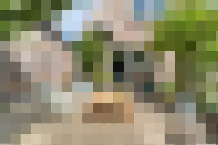 Nieuwe Deventerweg 44 Zwolle thumbnail 35