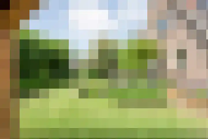 Nieuwe Deventerweg 44 Zwolle thumbnail 36