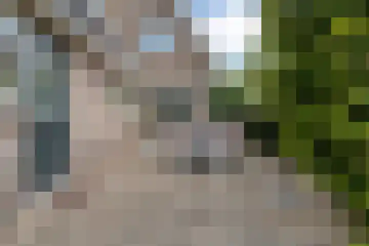 Nieuwe Deventerweg 44 Zwolle thumbnail 38