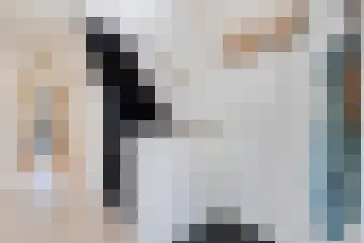 Nieuwe Deventerweg 44 Zwolle thumbnail 4