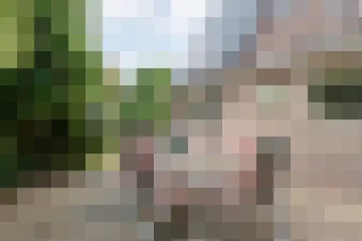 Nieuwe Deventerweg 44 Zwolle thumbnail 39