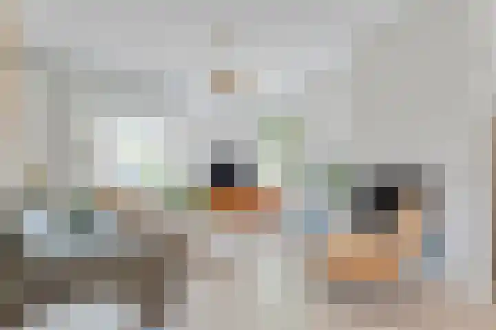 Nieuwe Deventerweg 44 Zwolle thumbnail 6