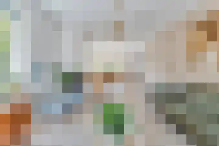 Nieuwe Deventerweg 44 Zwolle thumbnail 8