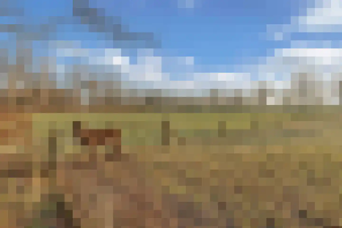 Nieuwe Deventerweg 54 Broekland thumbnail 13
