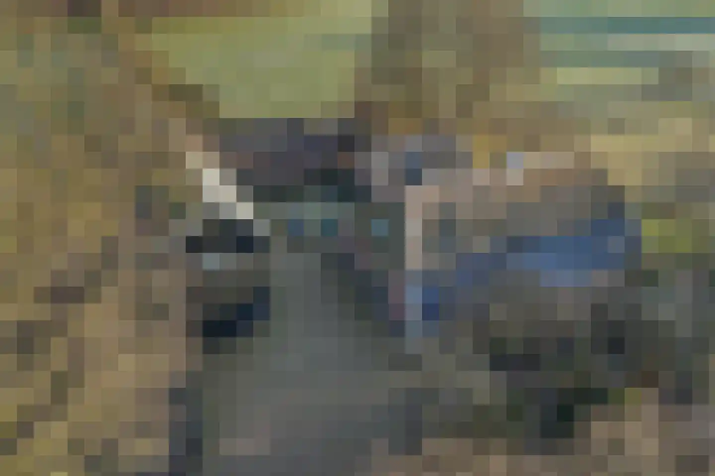 Nieuwe Deventerweg 54 Broekland thumbnail 16