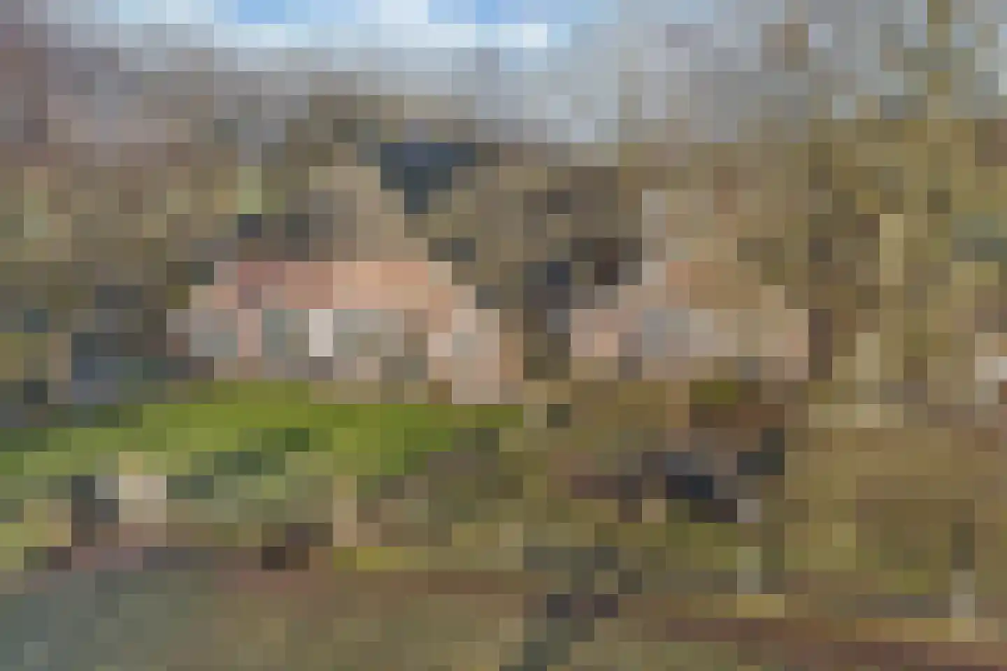 Nieuwe Deventerweg 54 Broekland thumbnail 19