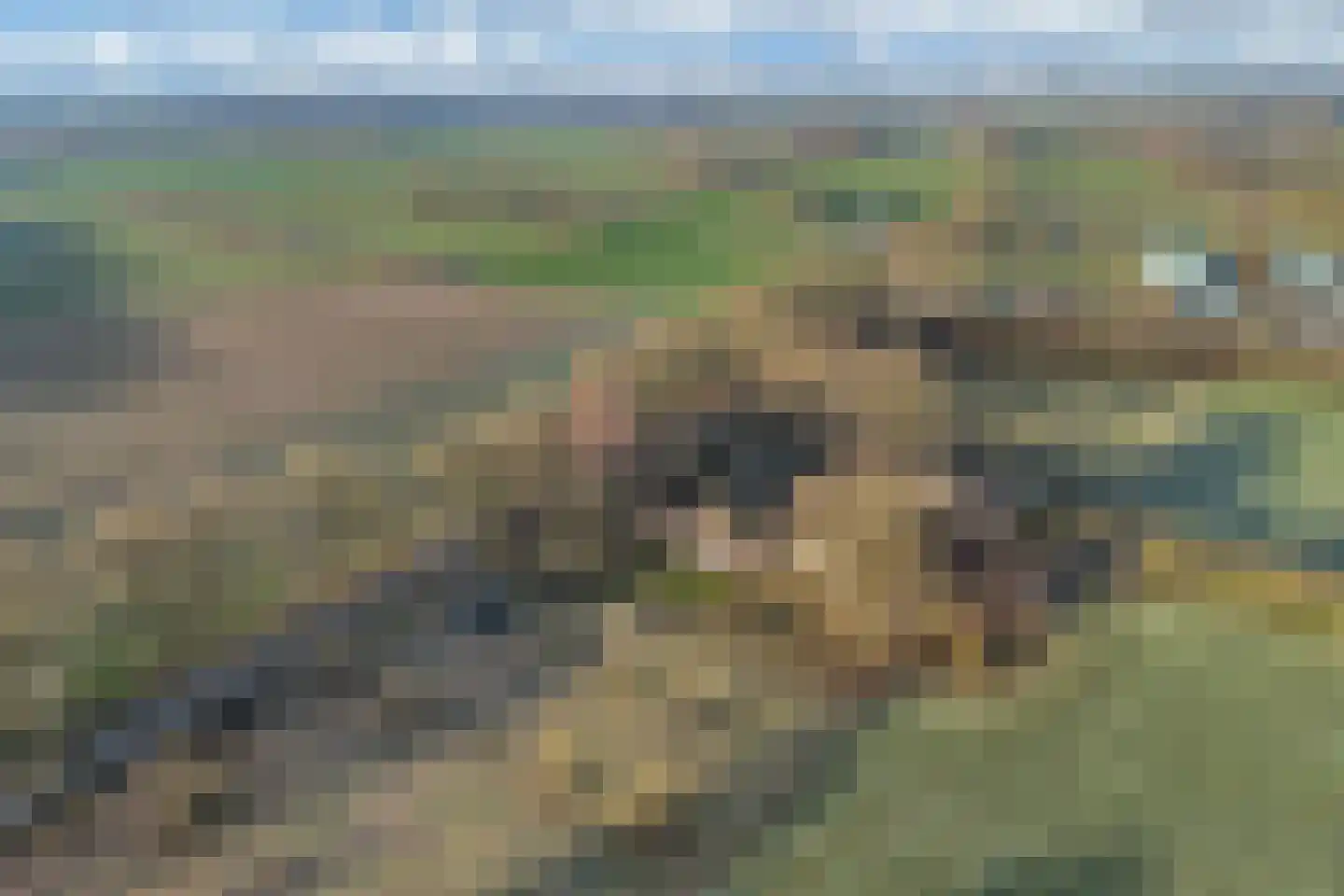 Nieuwe Deventerweg 54 Broekland thumbnail 20