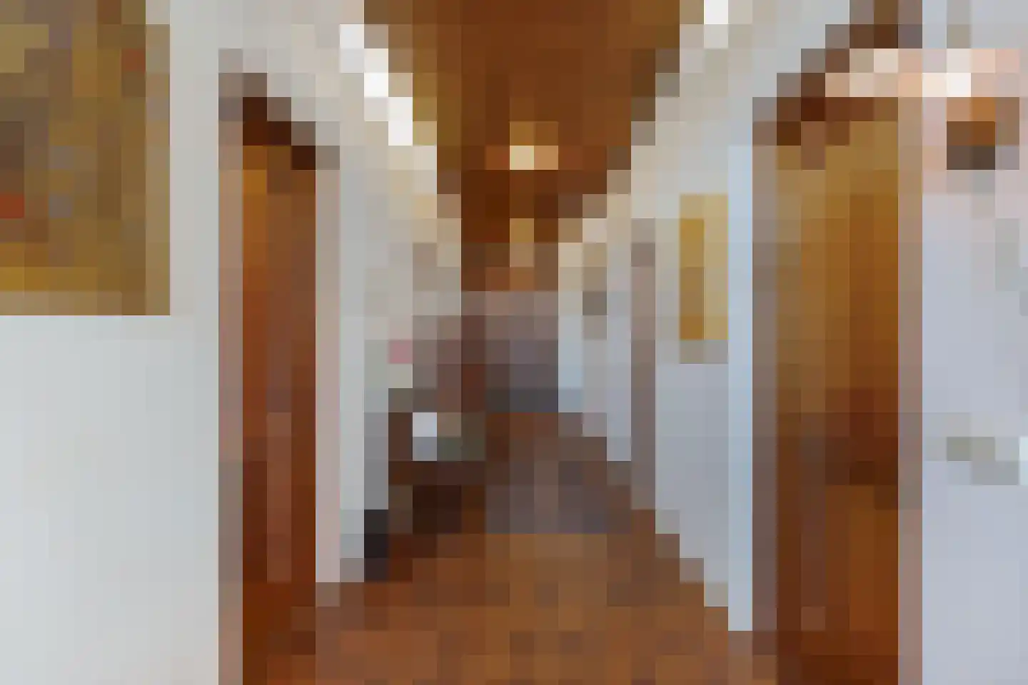 Nieuwe Deventerweg 54 Broekland thumbnail 25