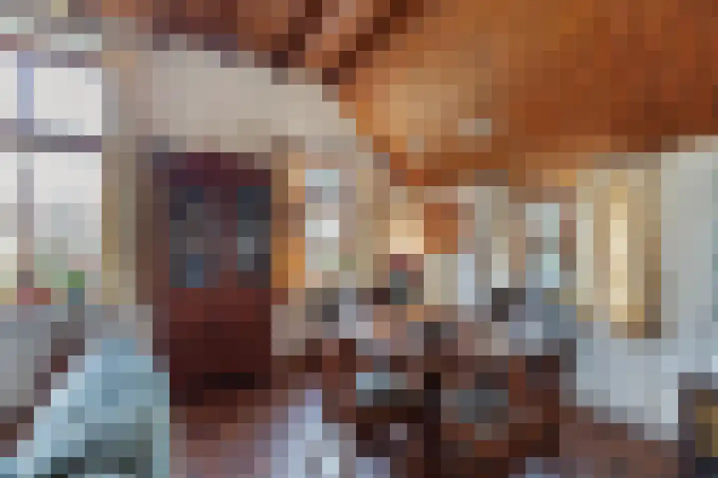 Nieuwe Deventerweg 54 Broekland thumbnail 33