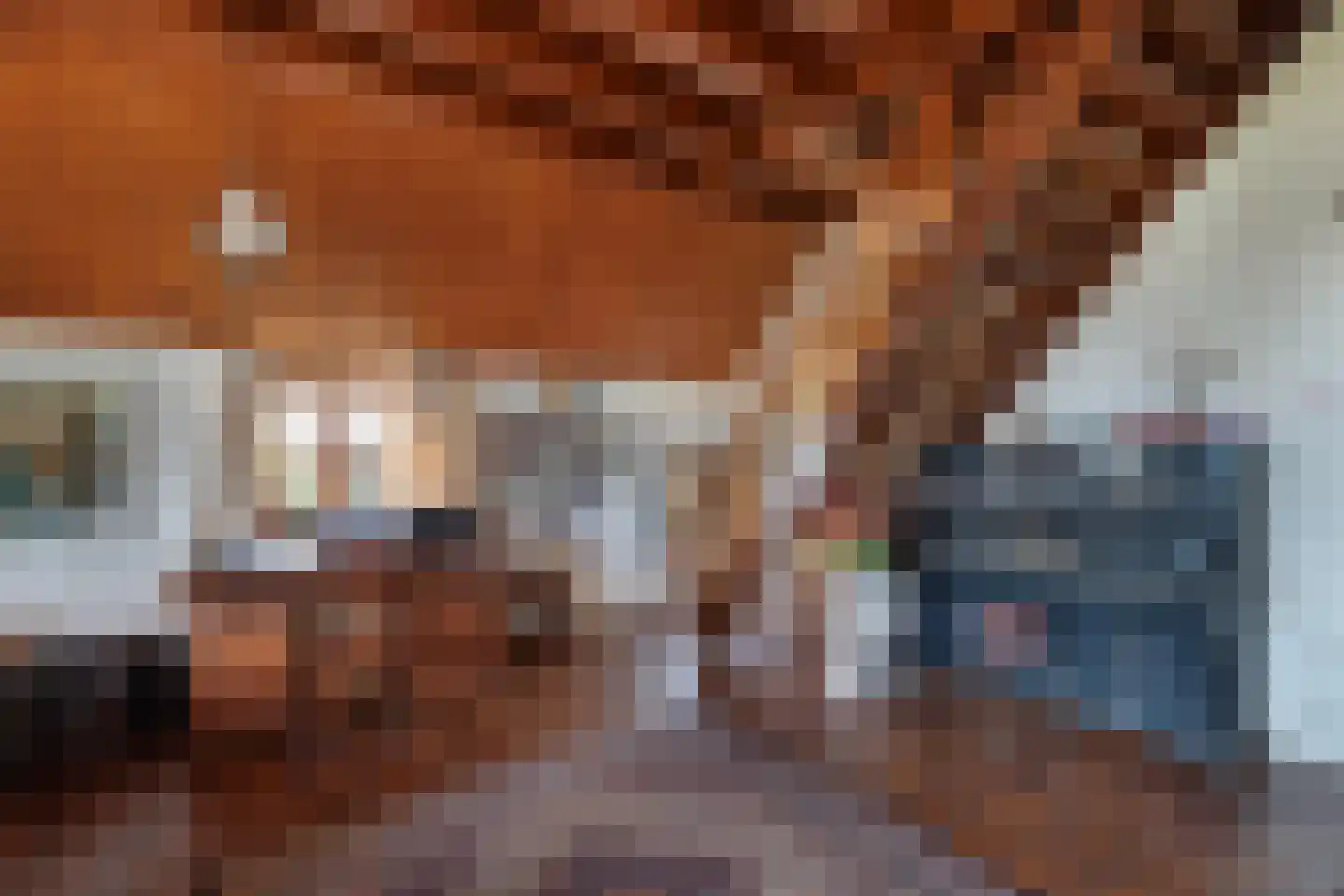 Nieuwe Deventerweg 54 Broekland thumbnail 35
