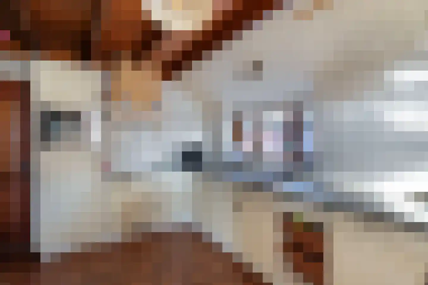 Nieuwe Deventerweg 54 Broekland thumbnail 36