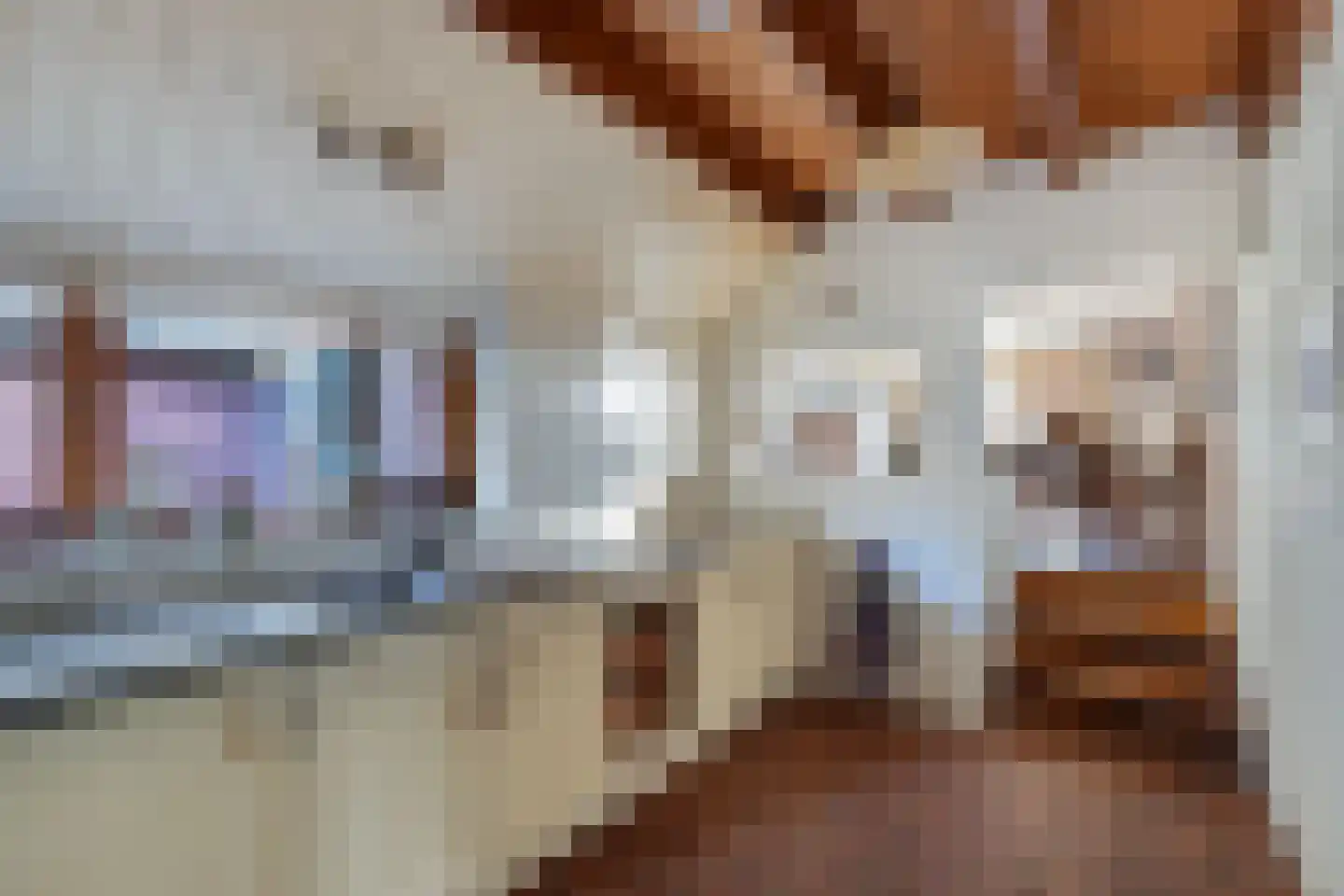 Nieuwe Deventerweg 54 Broekland thumbnail 38