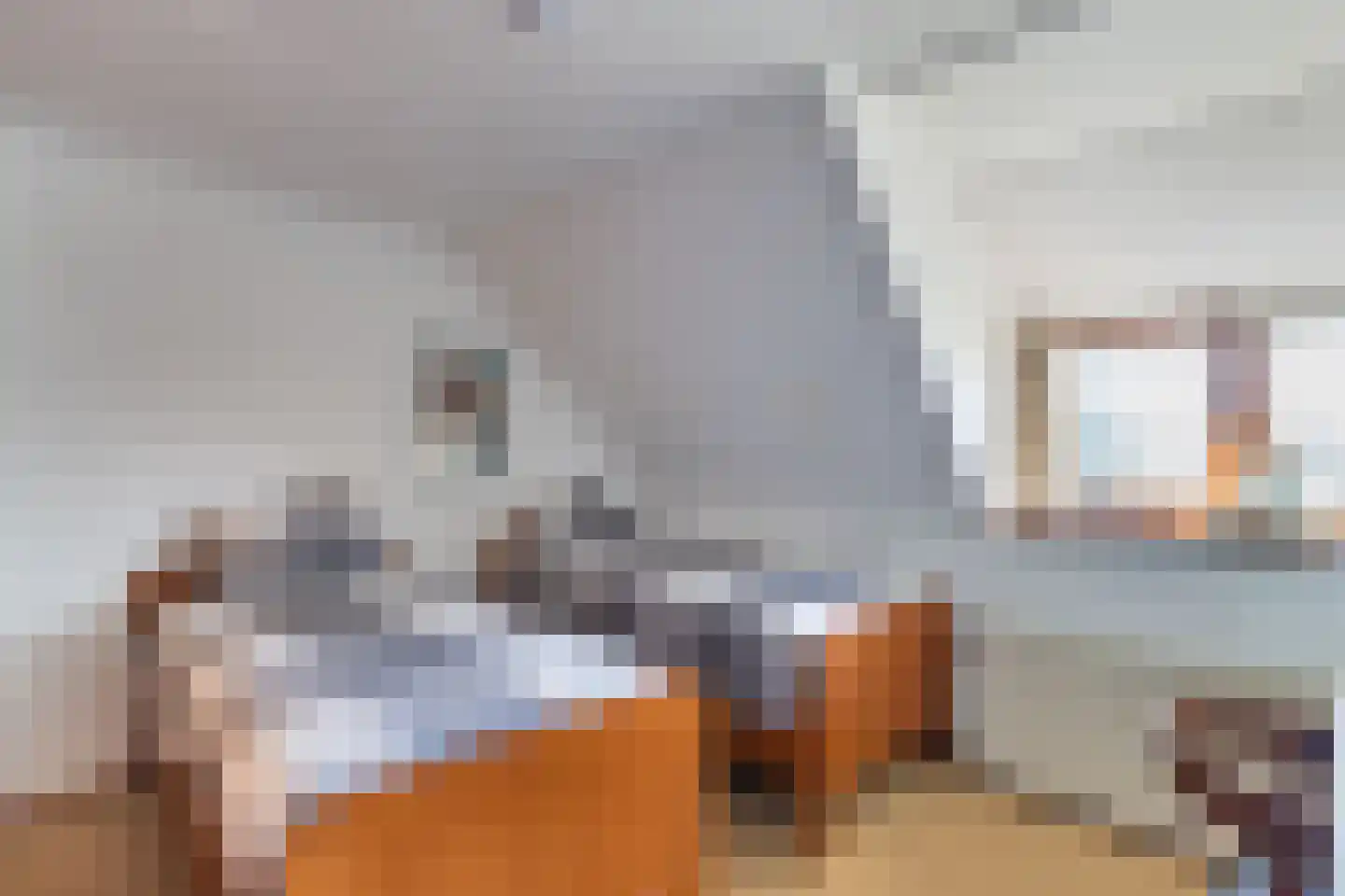 Nieuwe Deventerweg 54 Broekland thumbnail 41