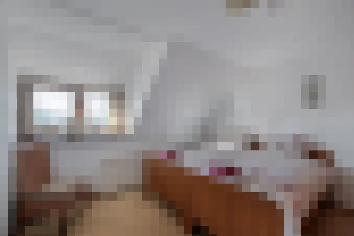Nieuwe Deventerweg 54 Broekland thumbnail 42