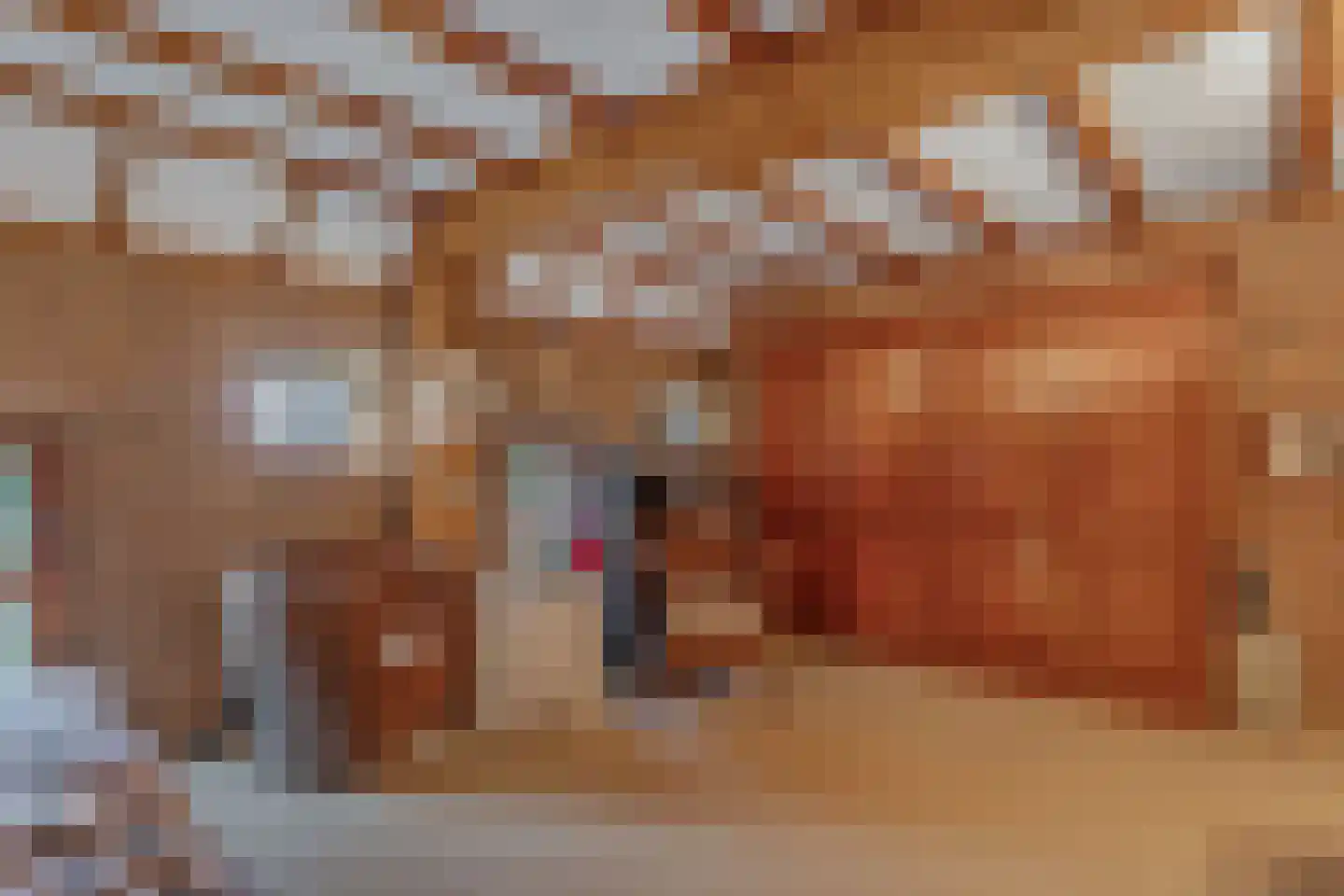 Nieuwe Deventerweg 54 Broekland thumbnail 47