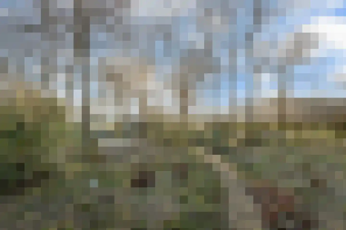 Nieuwe Deventerweg 54 Broekland thumbnail 8