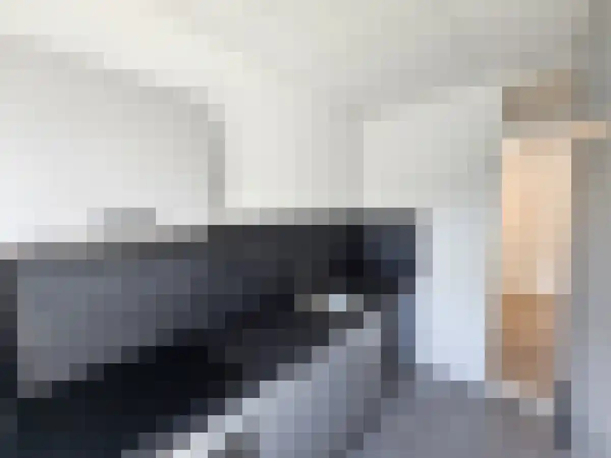 Nieuwe Deventerweg 60 Zwolle thumbnail 4