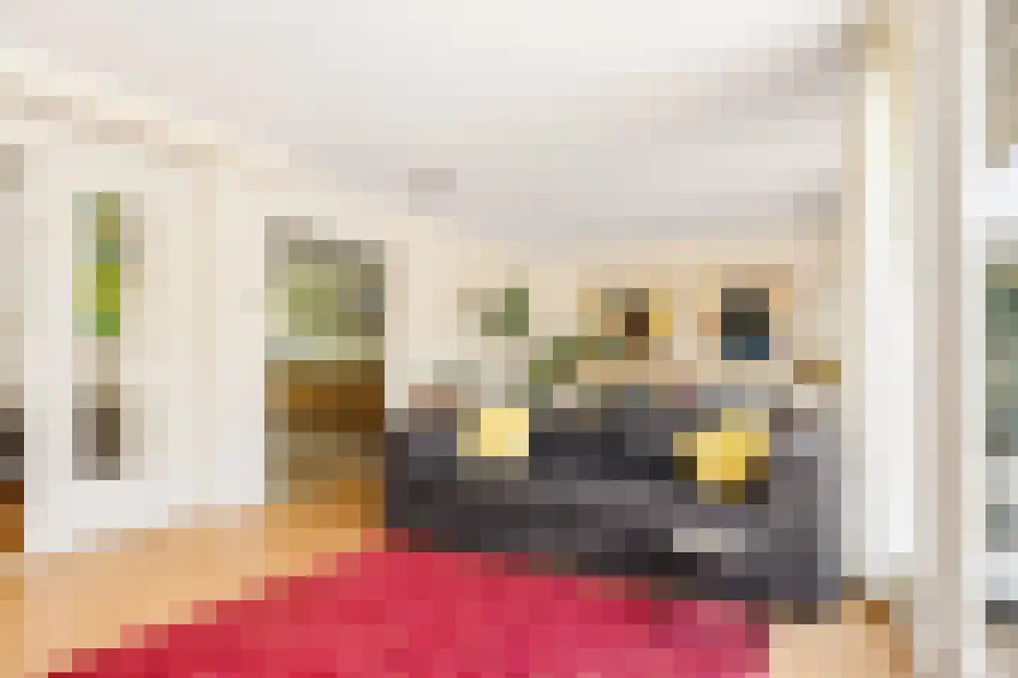 Nieuwe Deventerweg 71 Zwolle thumbnail 18