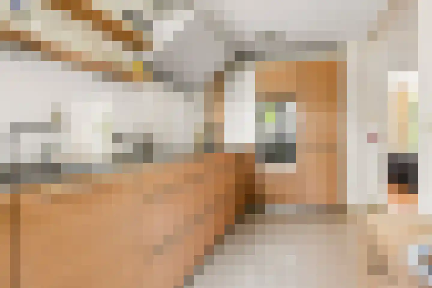 Nieuwe Deventerweg 71 Zwolle thumbnail 19