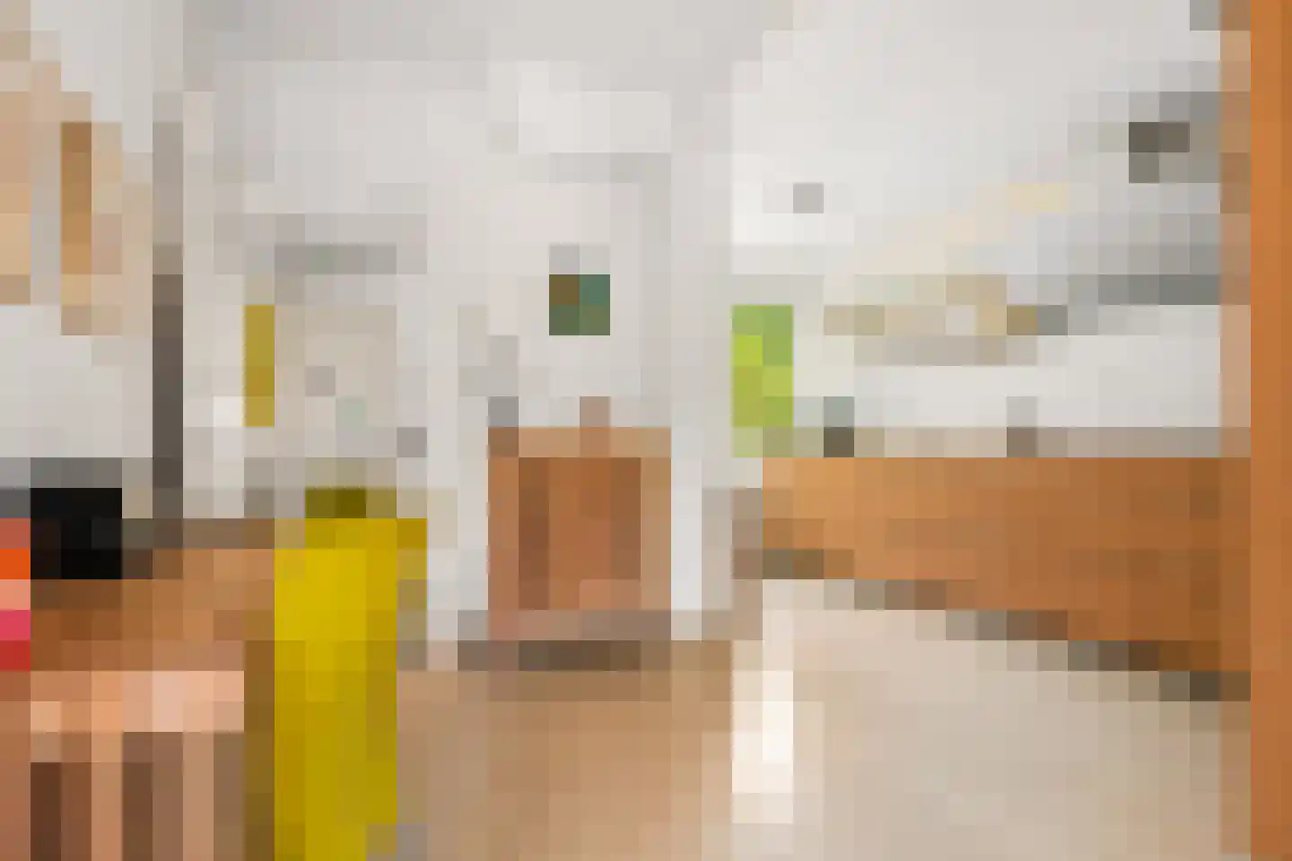 Nieuwe Deventerweg 71 Zwolle thumbnail 21