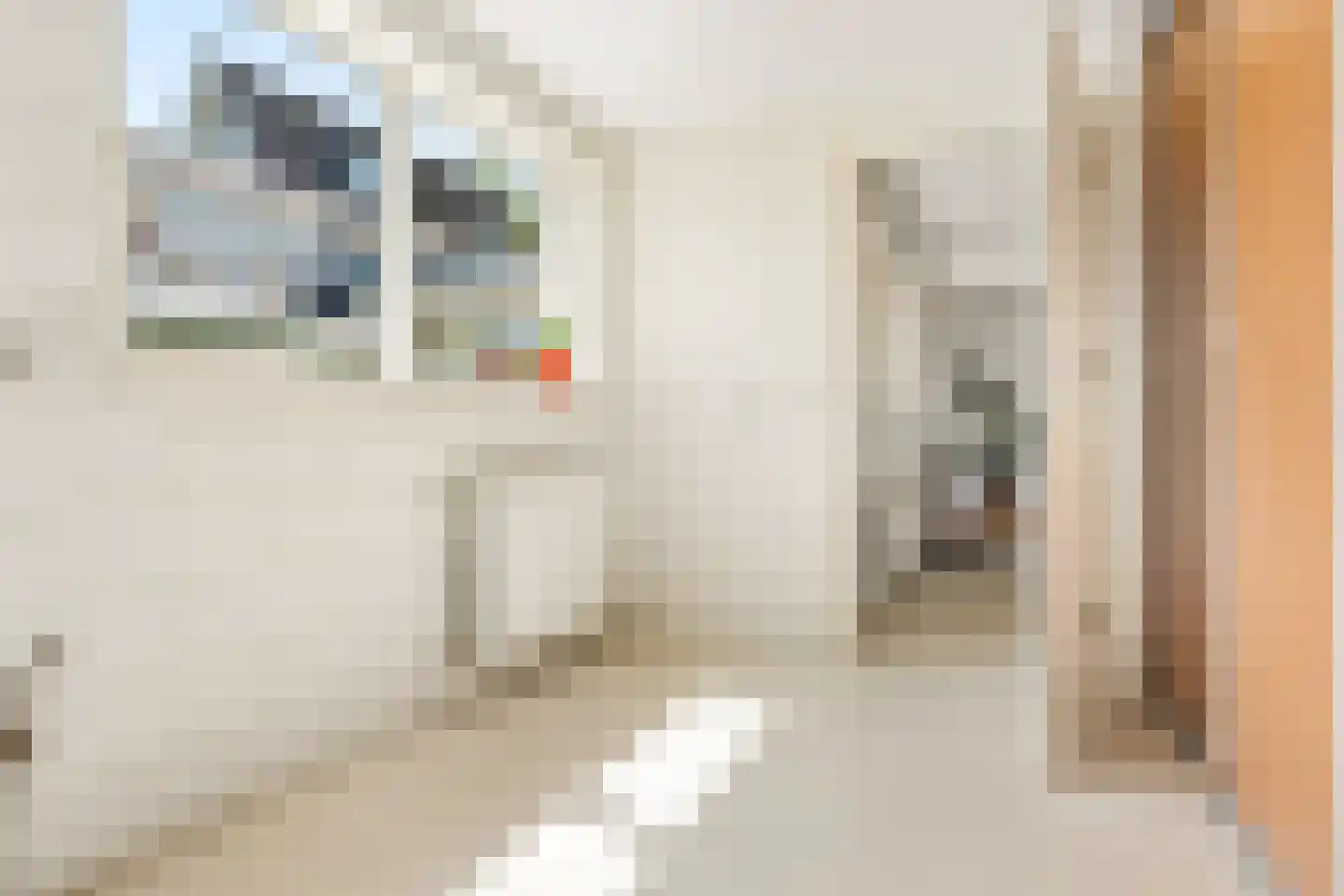 Nieuwe Deventerweg 71 Zwolle thumbnail 30