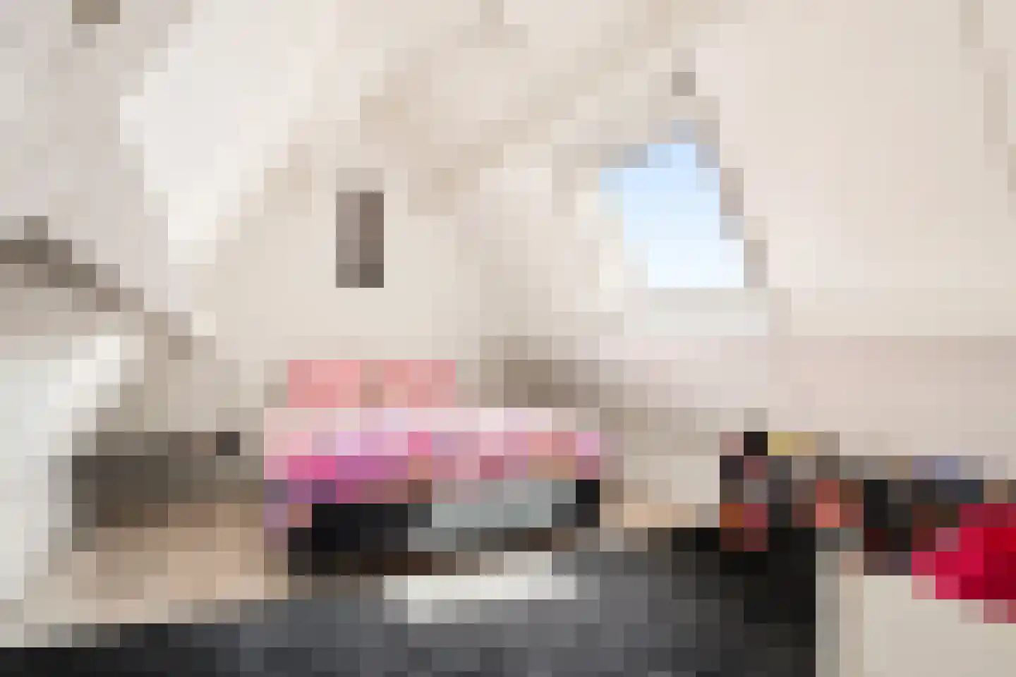 Nieuwe Deventerweg 71 Zwolle thumbnail 34