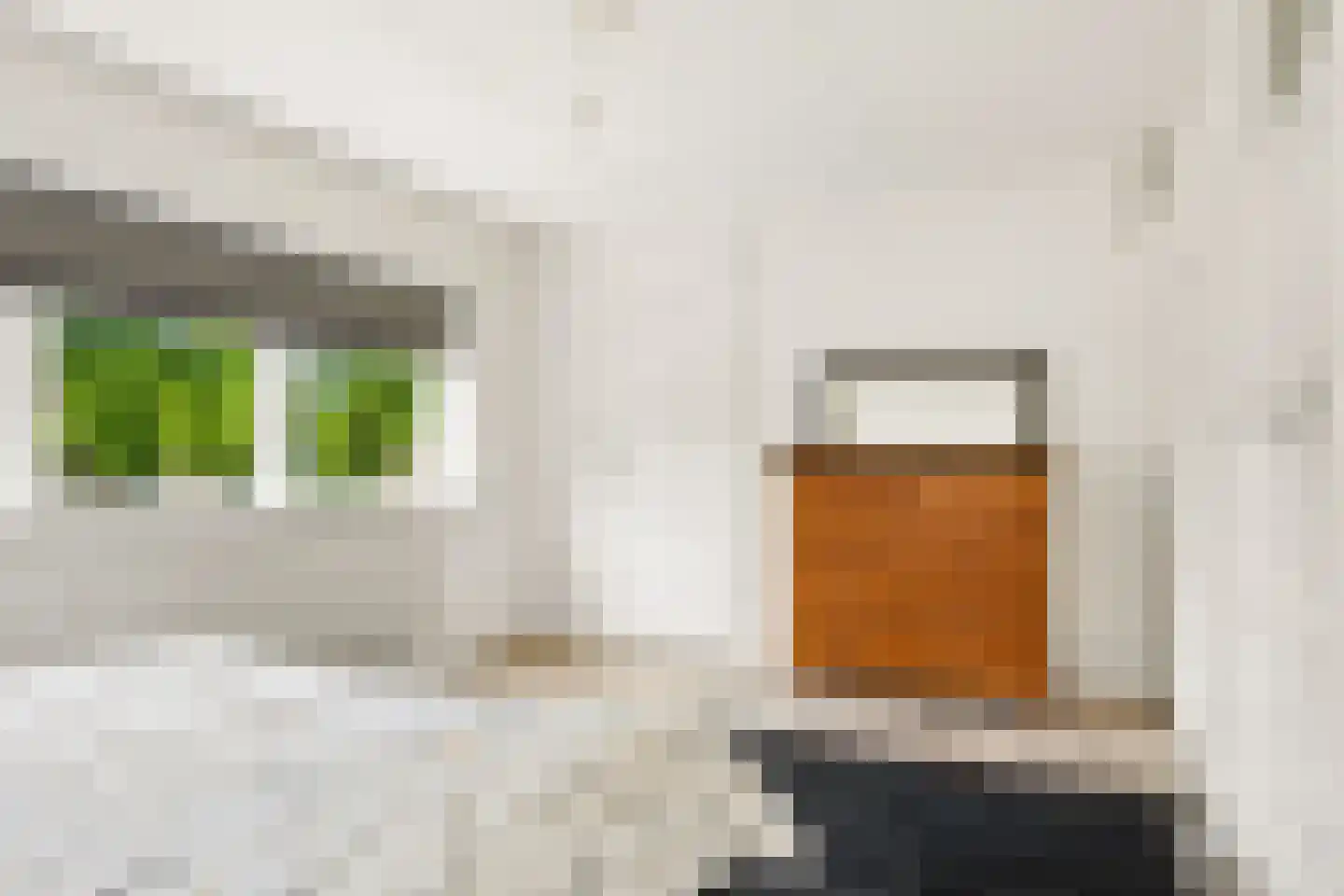 Nieuwe Deventerweg 71 Zwolle thumbnail 37