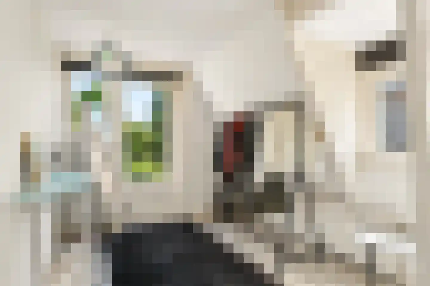 Nieuwe Deventerweg 71 Zwolle thumbnail 38