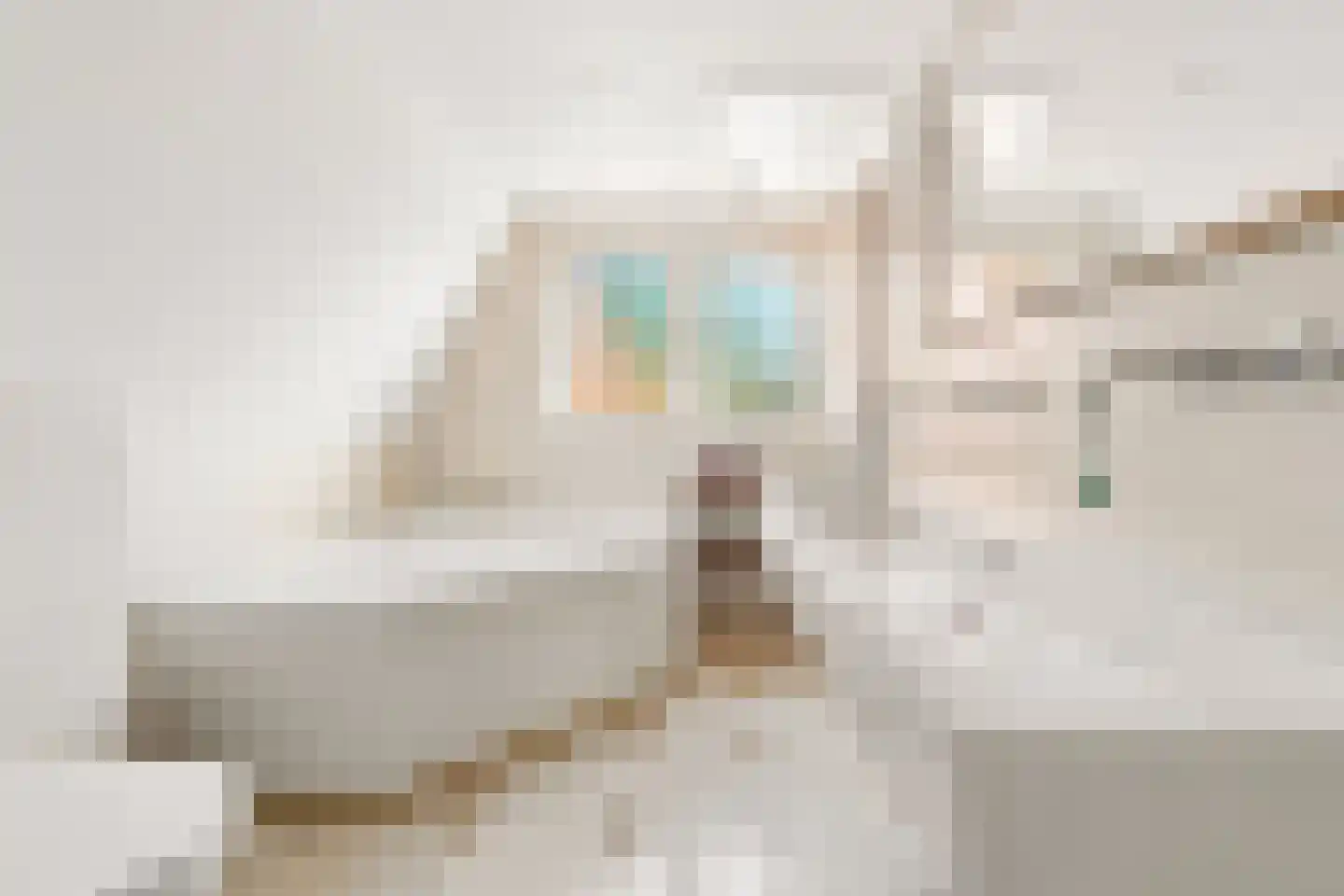 Nieuwe Deventerweg 71 Zwolle thumbnail 42