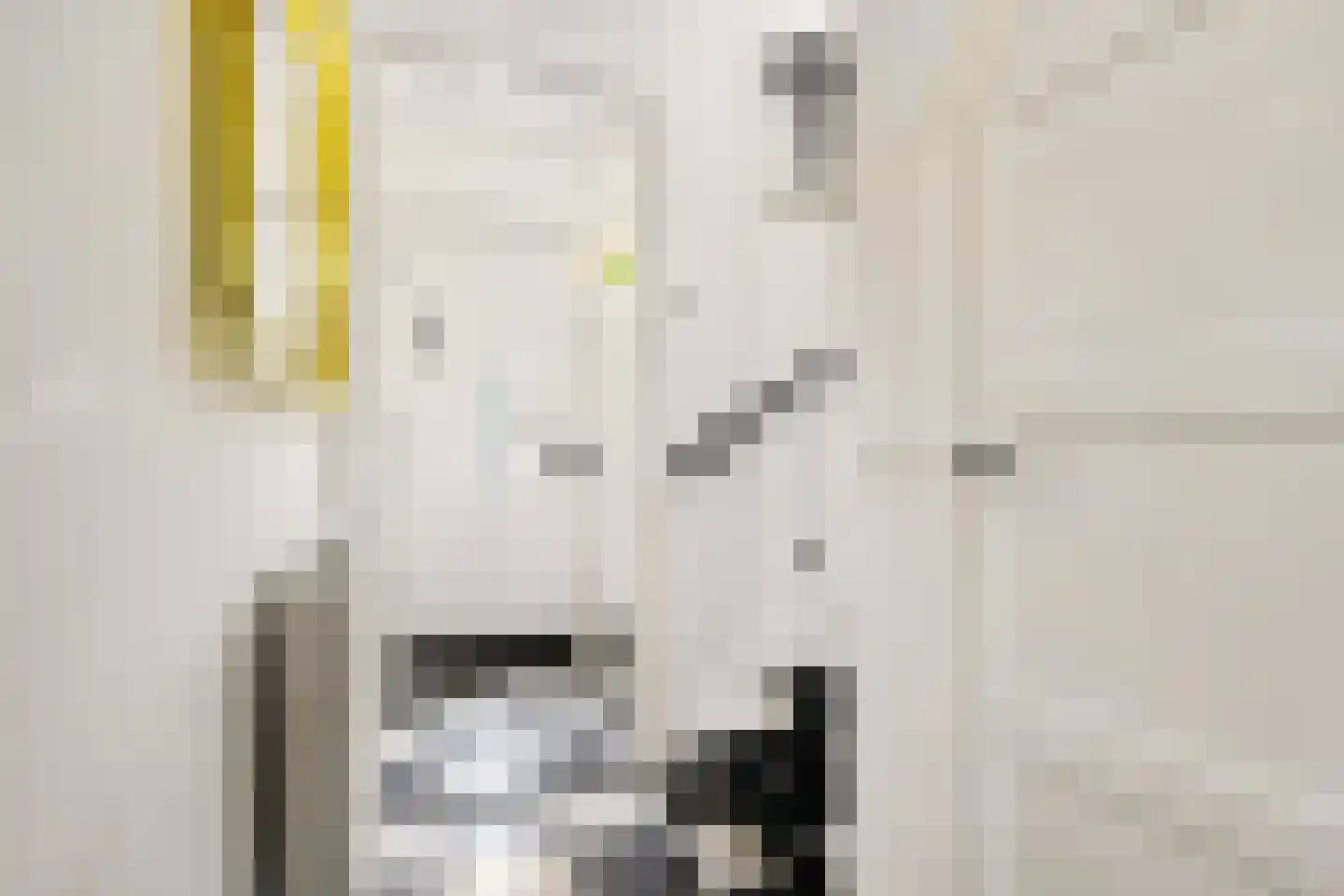 Nieuwe Deventerweg 71 Zwolle thumbnail 5