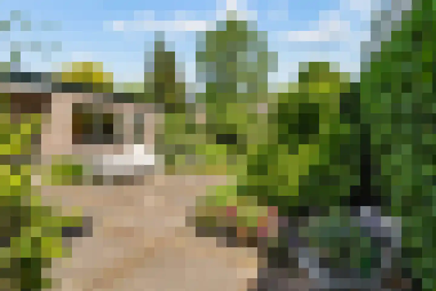 Nieuwe Deventerweg 71 Zwolle thumbnail 51
