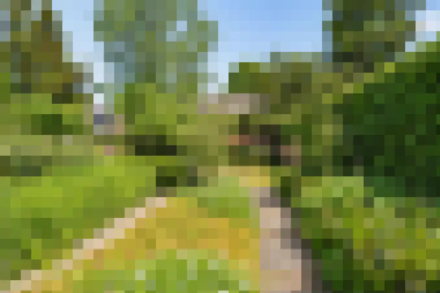 Nieuwe Deventerweg 71 Zwolle thumbnail 52