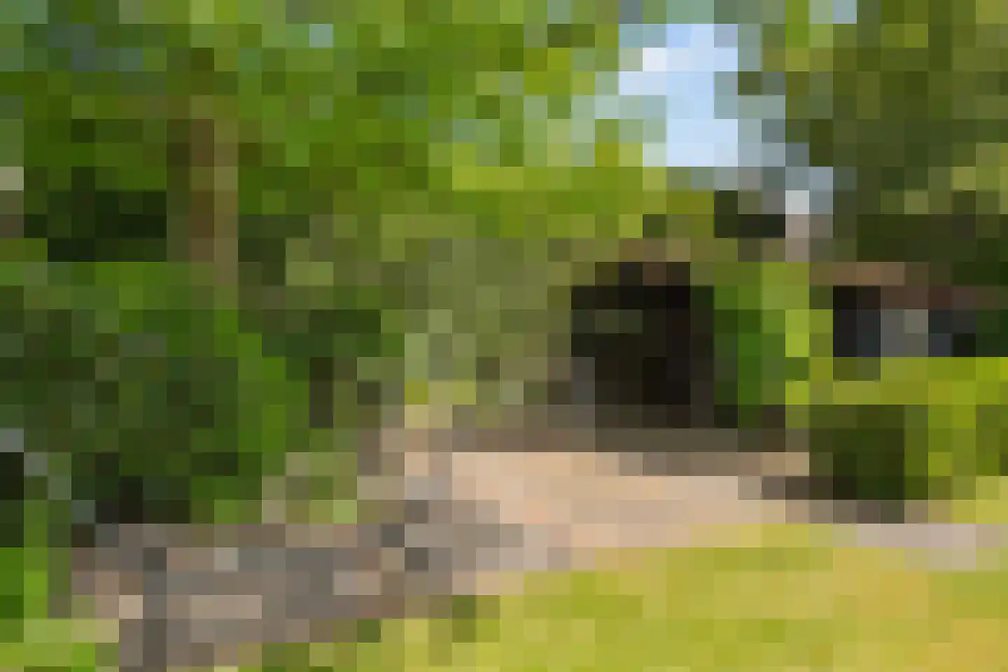 Nieuwe Deventerweg 71 Zwolle thumbnail 55