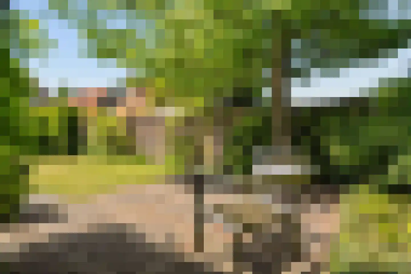 Nieuwe Deventerweg 71 Zwolle thumbnail 57