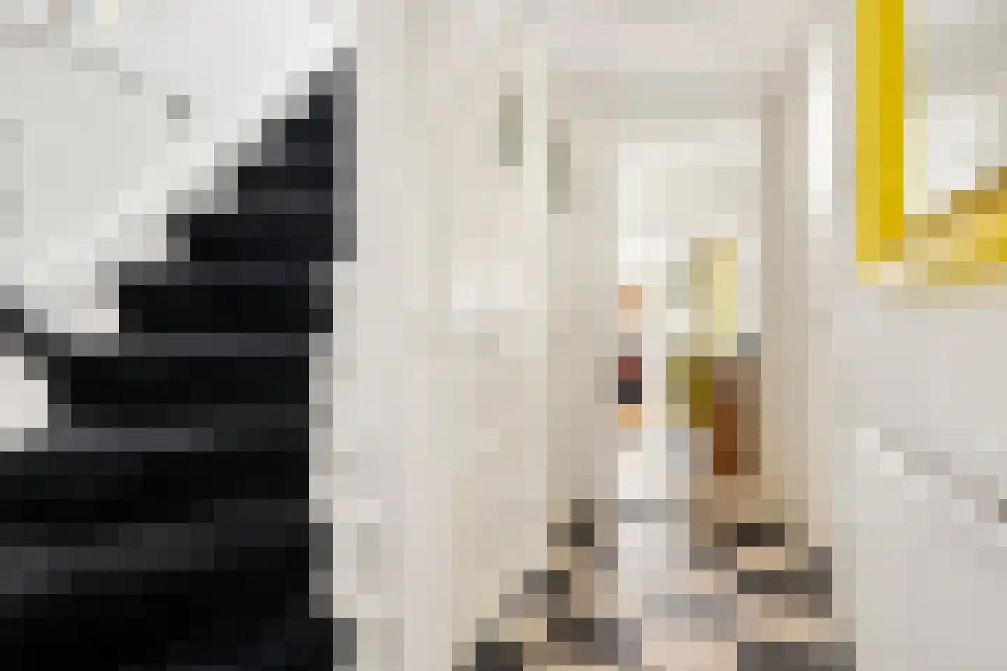Nieuwe Deventerweg 71 Zwolle thumbnail 6