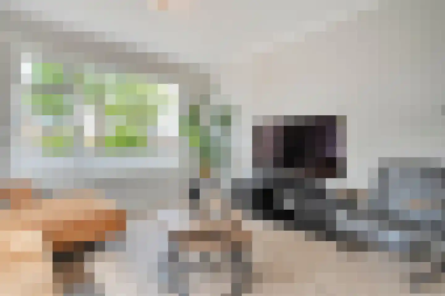 Nieuwe Deventerweg 89 Zwolle thumbnail 15