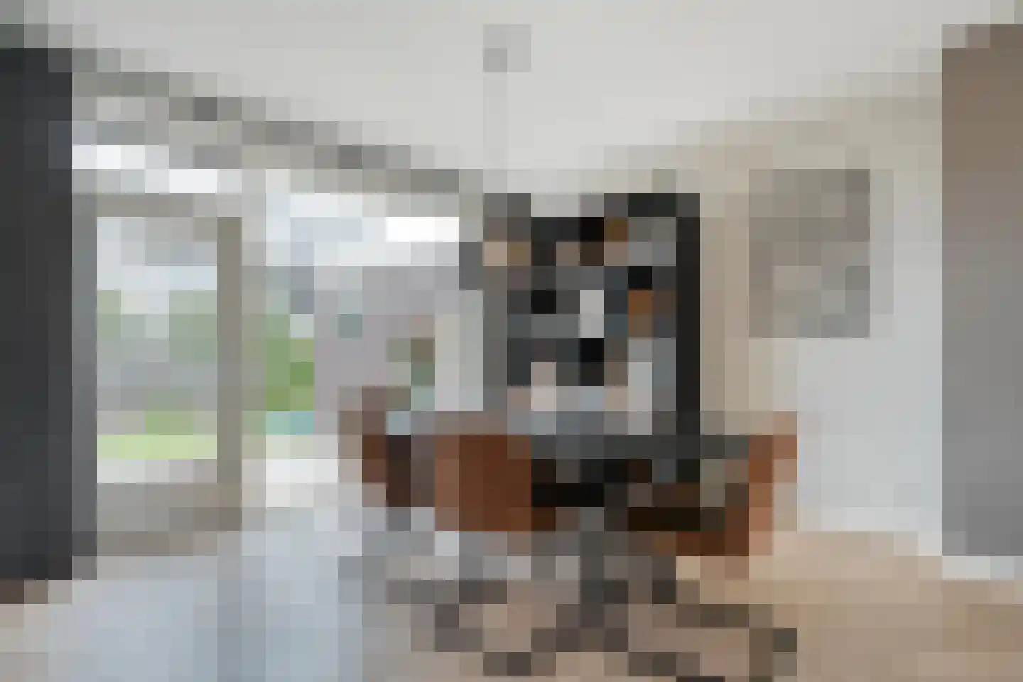 Nieuwe Deventerweg 89 Zwolle thumbnail 20