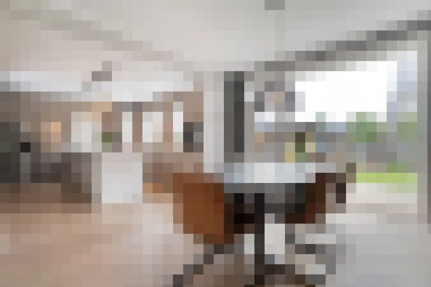 Nieuwe Deventerweg 89 Zwolle thumbnail 21