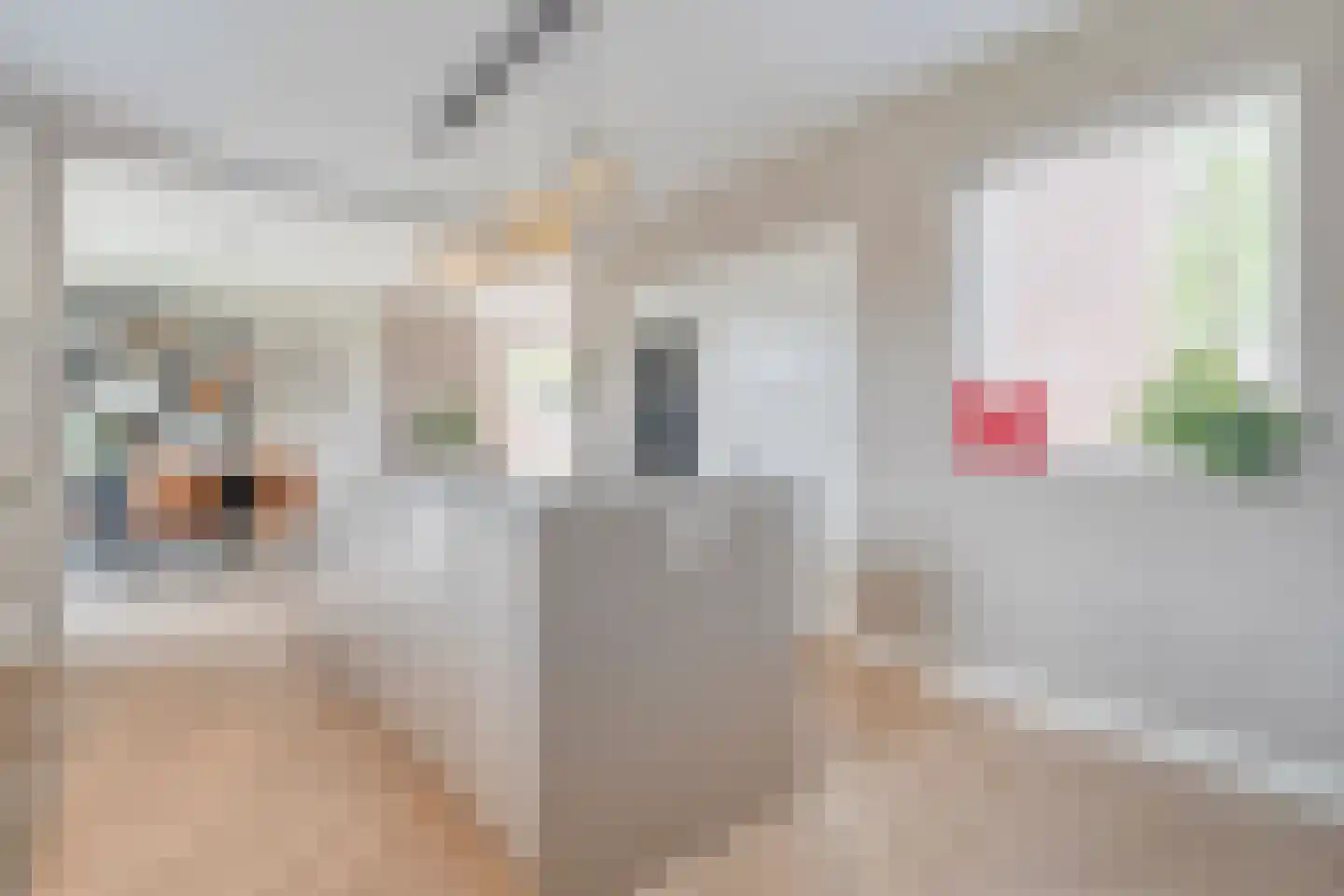 Nieuwe Deventerweg 89 Zwolle thumbnail 25