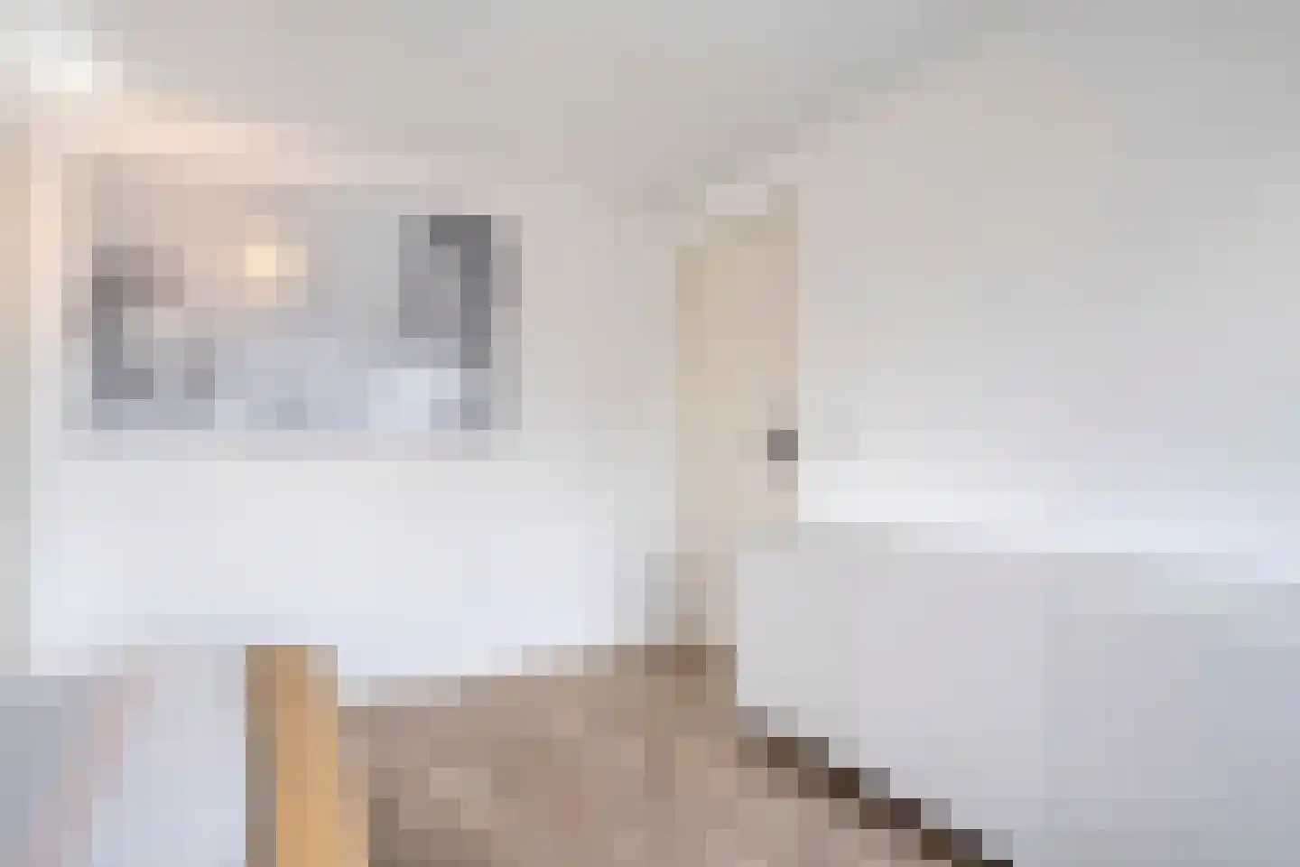 Nieuwe Deventerweg 89 Zwolle thumbnail 34