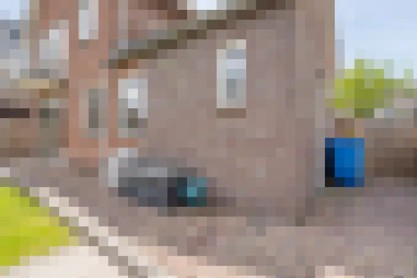 Nieuwe Deventerweg 89 Zwolle thumbnail 49