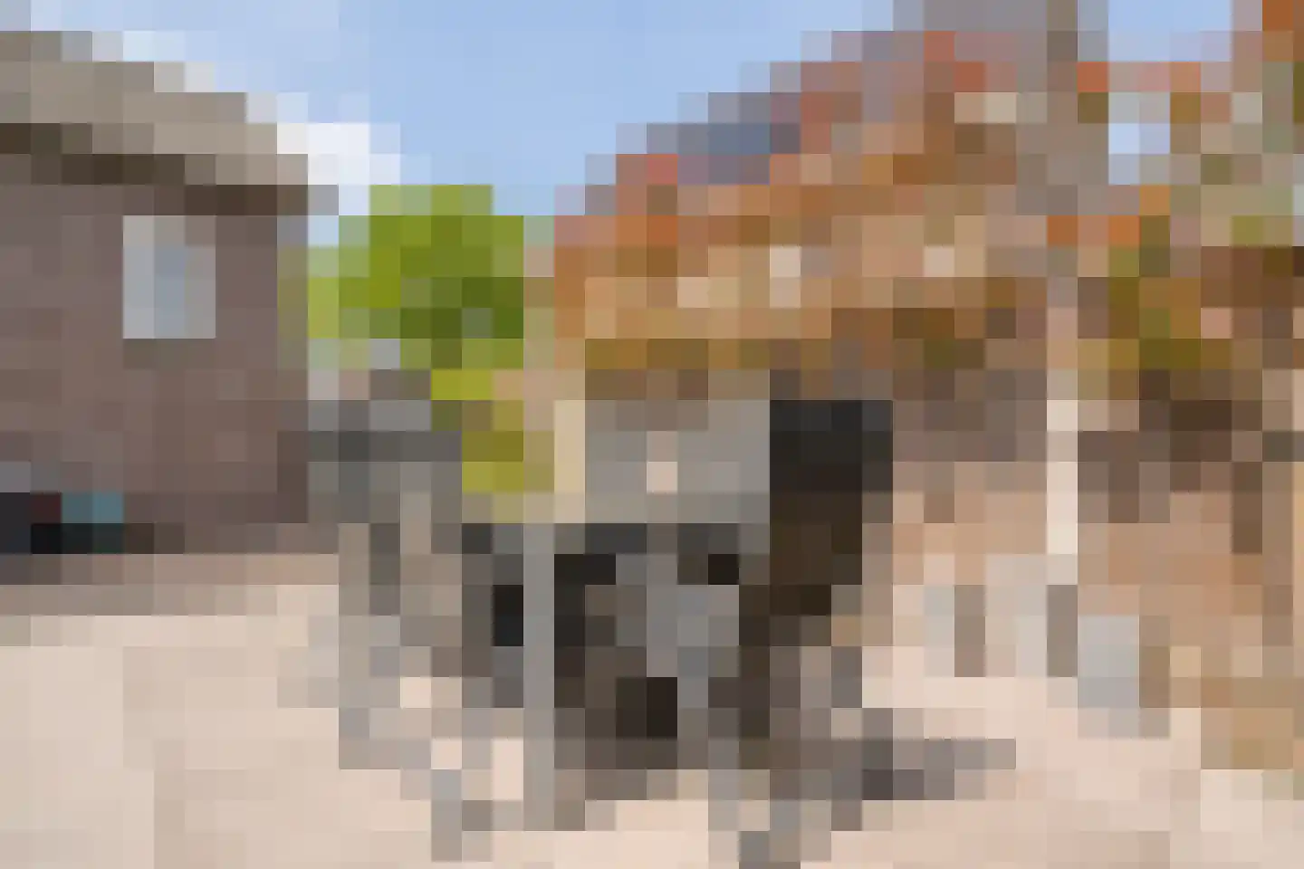 Nieuwe Deventerweg 89 Zwolle thumbnail 50