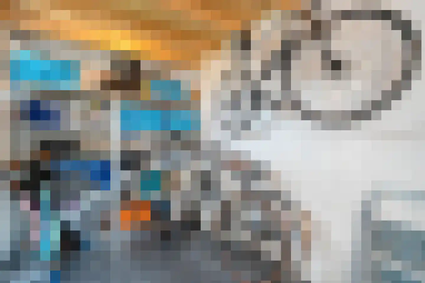 Nieuwe Deventerweg 89 Zwolle thumbnail 58