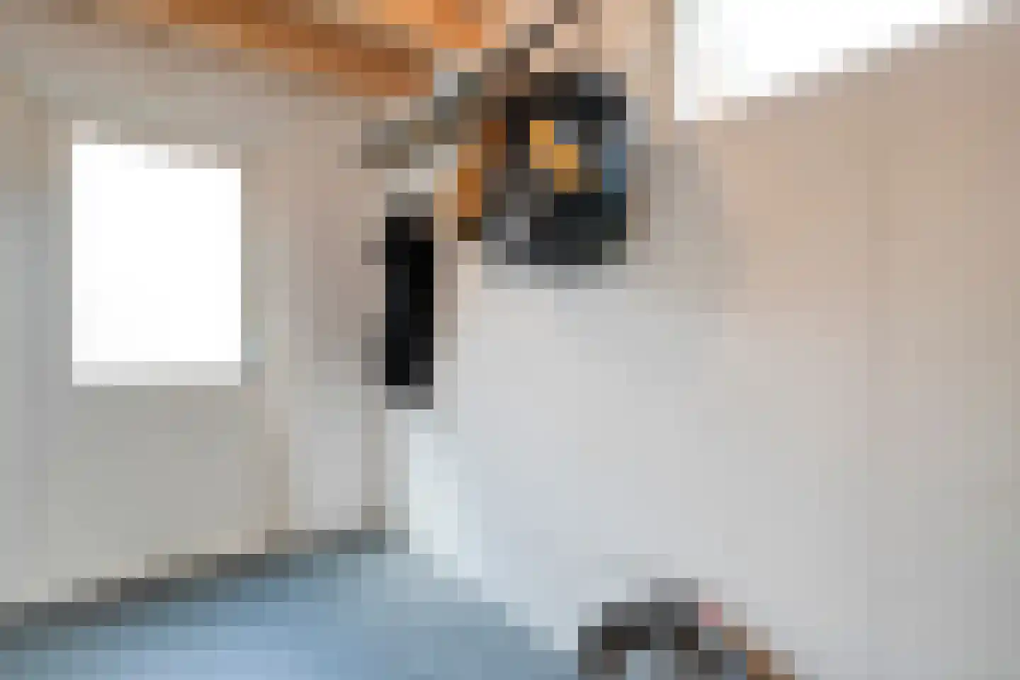 Nieuwe Deventerweg 89 Zwolle thumbnail 59