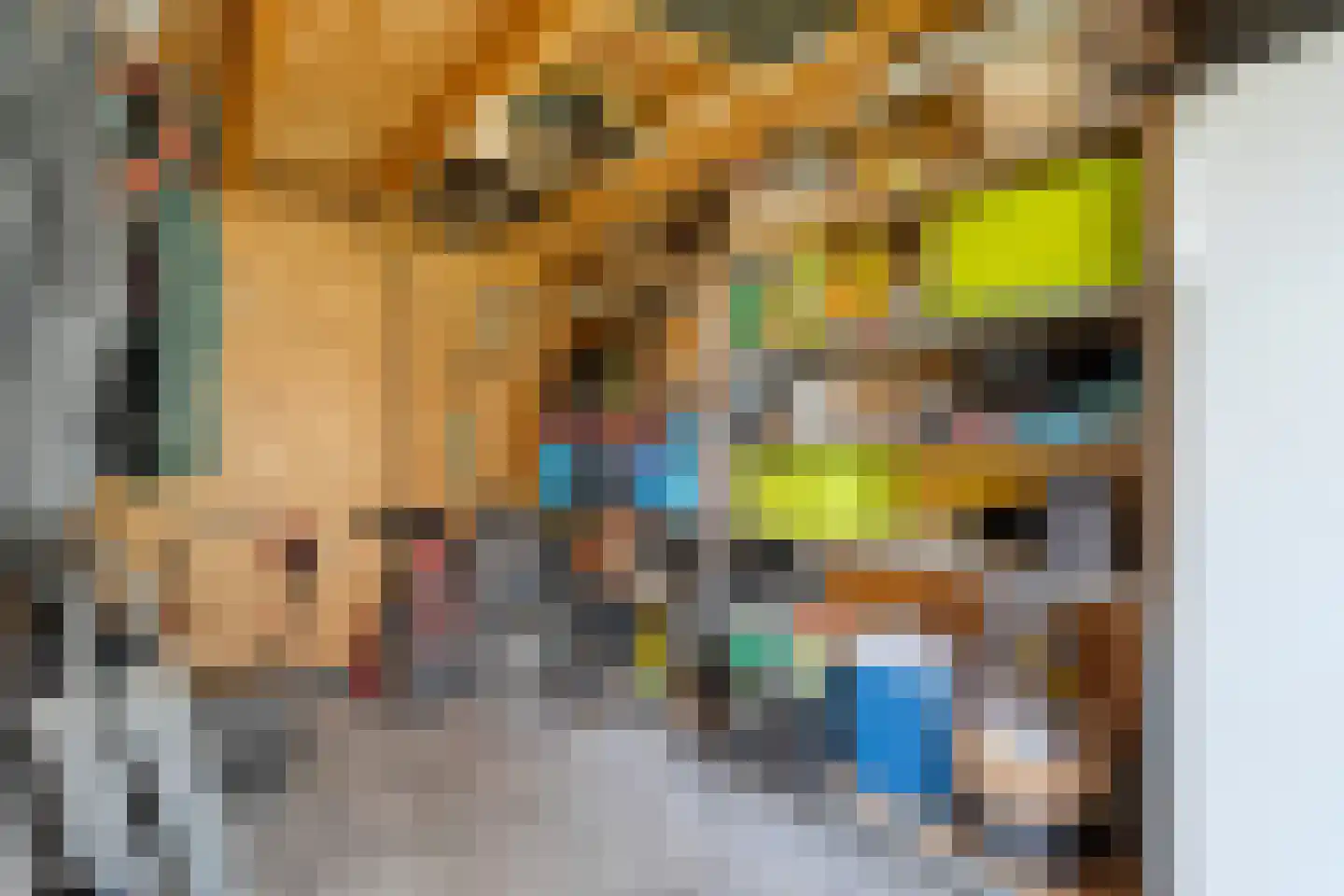Nieuwe Deventerweg 89 Zwolle thumbnail 60