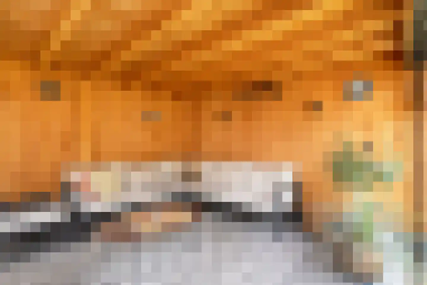 Nieuwe Deventerweg 89 Zwolle thumbnail 62